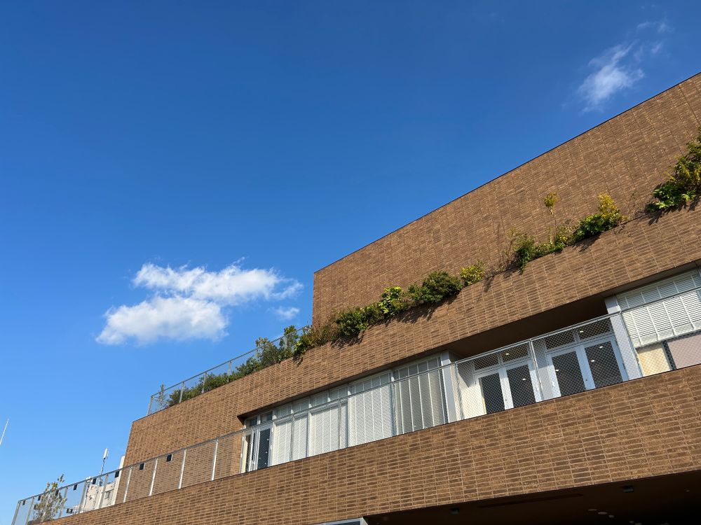 JIYUGAOKA de aoneの3階テラスにて