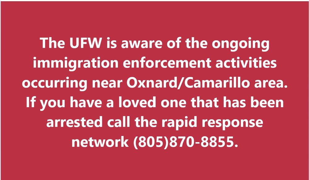 Red background with white words saying The UFW is aware of the ongoing immigration enforcement activities occurring near Oxnard/Camarillo area.  If you have a loved one that has been arrested call the rapid response network (805)870-8855 .