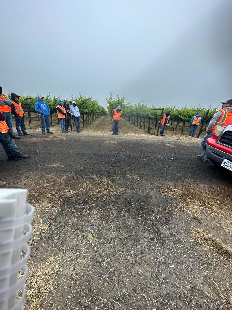 Vineyard workers at a union company having a safety meeting