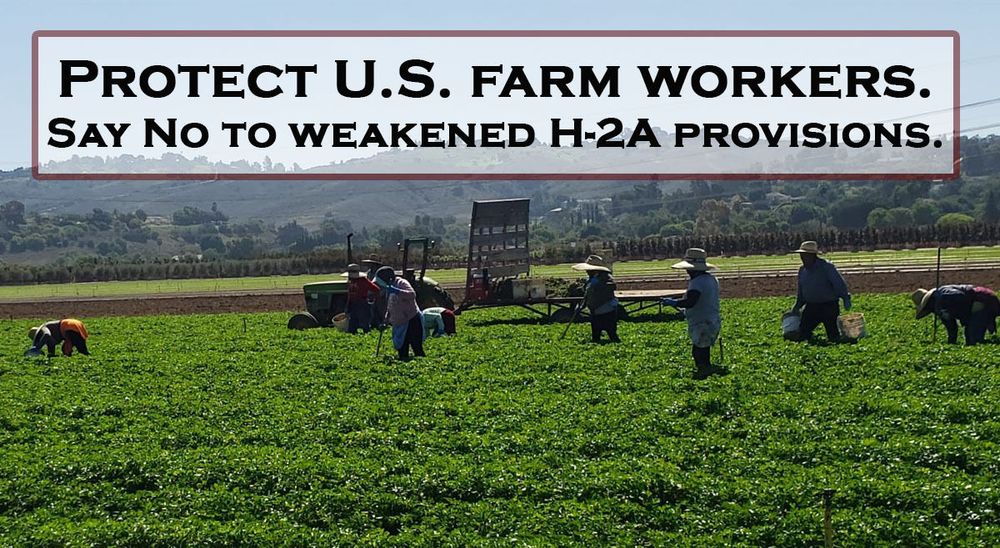 A photo of Farm workers laboring in a field with the words: Protect U.S. farm workers. Say No to weakened H-2A provisions.