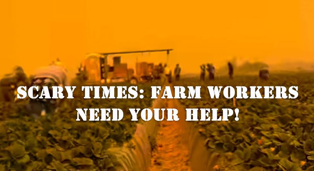Photo of workers harvesting strawberries amid eerie orange glow from  wildfire smoke with the text overlay "Scary Times: Farm workers need your help!"