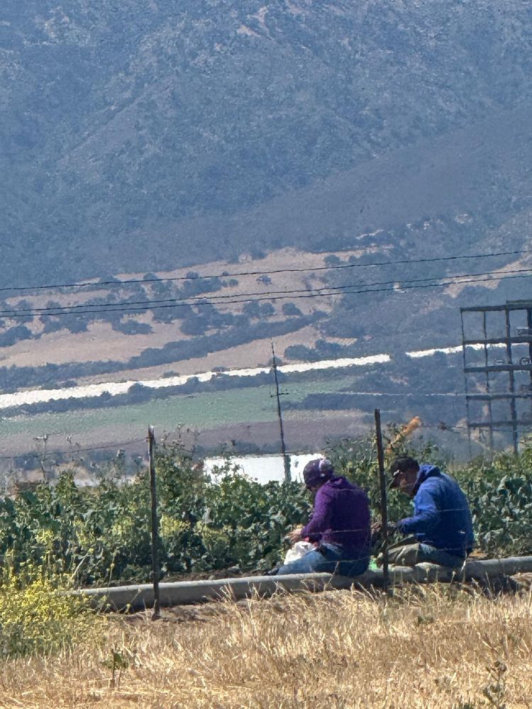 Farm Workers sitting at the edge of a field eating lunch as there is not enough room under the shade structure