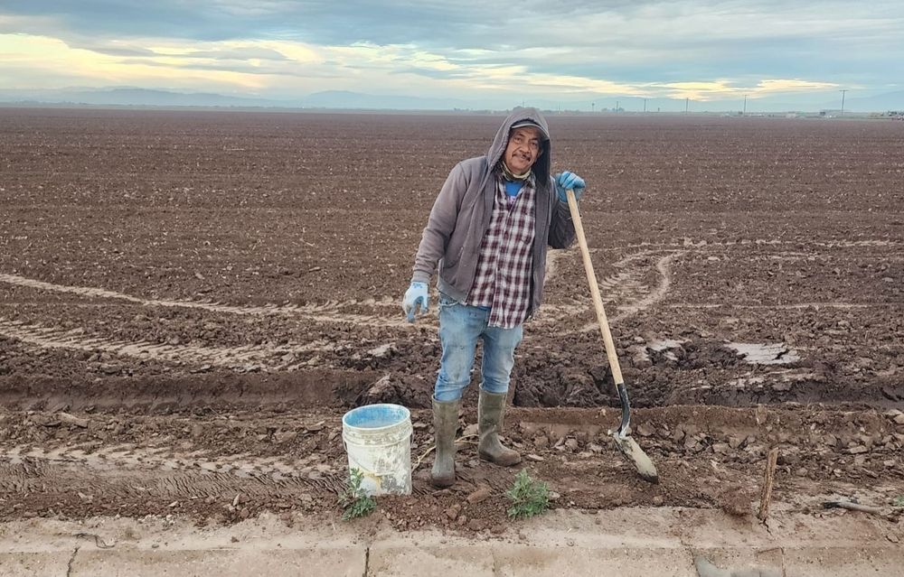 Farm workers standing in a hot imperial valley field where he is cleaning canals