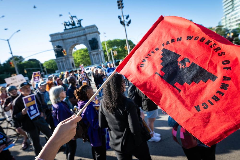 A ufw flag in front of the rally in Brooklyn today