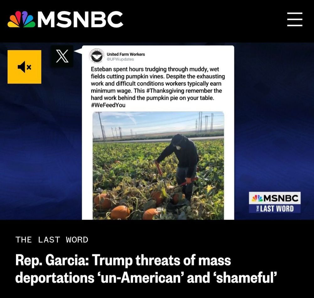 A screenshot of a MSNBC clip showing a UFW tweet of a farm worker laboring harvesting pumpkins from MSNBC The Last Word
