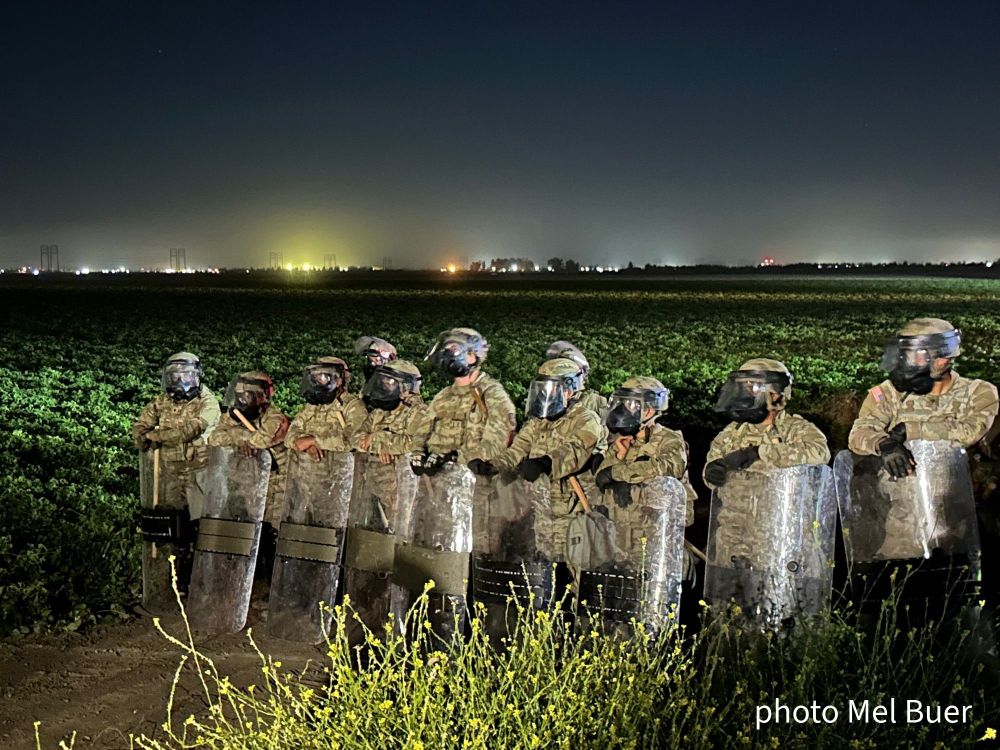 a line of heavily armed federal agents in riot gear standing in a field surrounded by tomato plants 