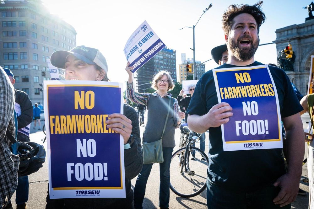 Members of SEIU local 1199 holding signs that says No farm workers no food at a rally  demanding the release of farm workers detained by ICE earlier this month