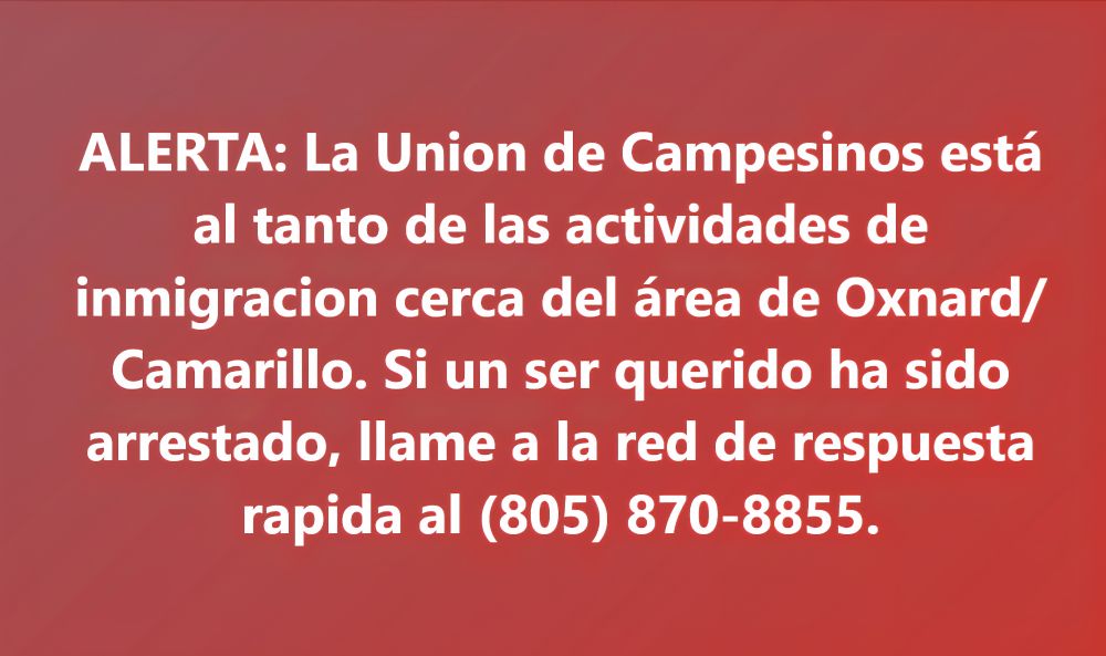 Red background with white words saying ALERTA: La Union de Campesinos está al tanto de las actividades de inmigracion cerca del área de Oxnard/Camarillo. Si un ser querido ha sido arrestado, llame a la red de respuesta rapida al (805) 870-8855.