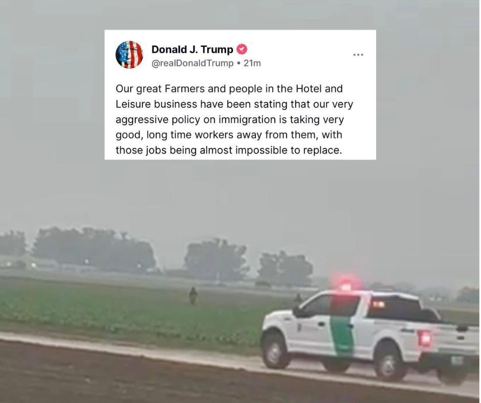 Imposed over an image of farm workers being hunted down in the fields, a screenshot of Trump saying:
"Our great Farmers and people in the Hotel and Leisure business have been stating that our very aggressive policy on immigration is taking very good, long time workers away from them, with those jobs being almost impossible to replace."