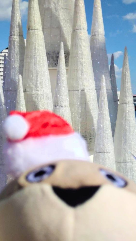 近い( ◉▼◉    )3ﾞ