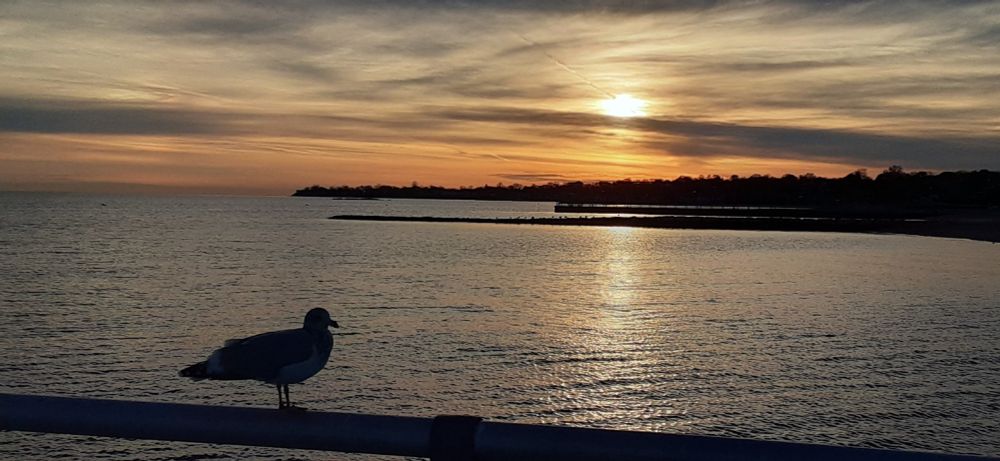 A photograph taken from a jetty at the beach in front of my sister's condo in Connecticut. A seagull is framed in shadow profile against the bay and shore line with cirrus clouds obscuring the amber setting sun in the west.