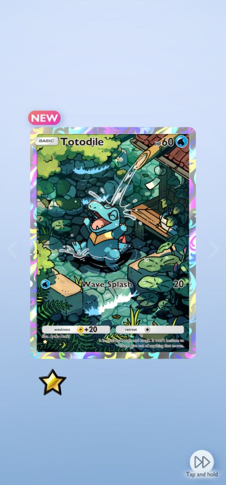 Illustration Rare Totodile