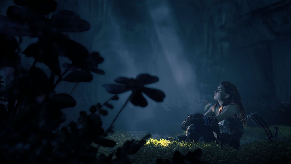 Aloy is resting in an underground ruin where sunlight peaks through. There are shadowed flowers covering a lot of the foreground.