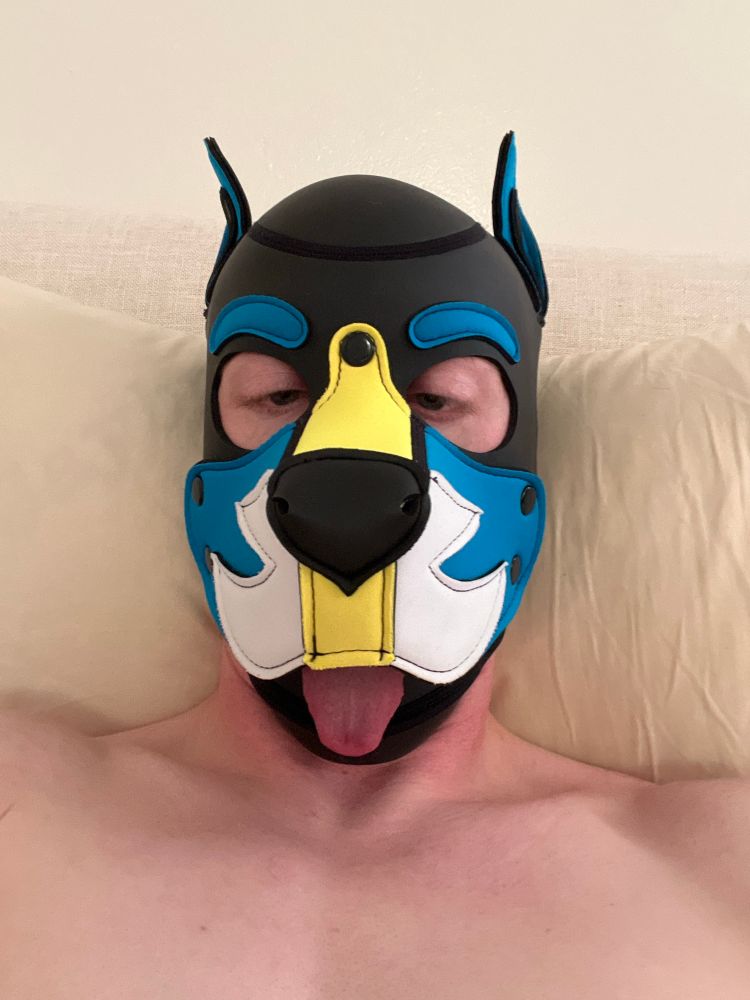Brainless boy in pup hood, tongue out and thoughts empty. 