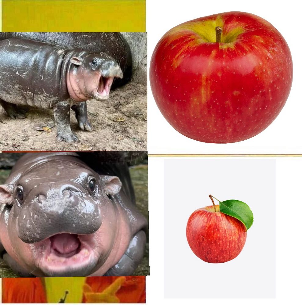 Comment image