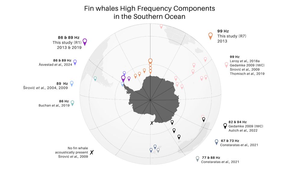 Grahic fin whale population 