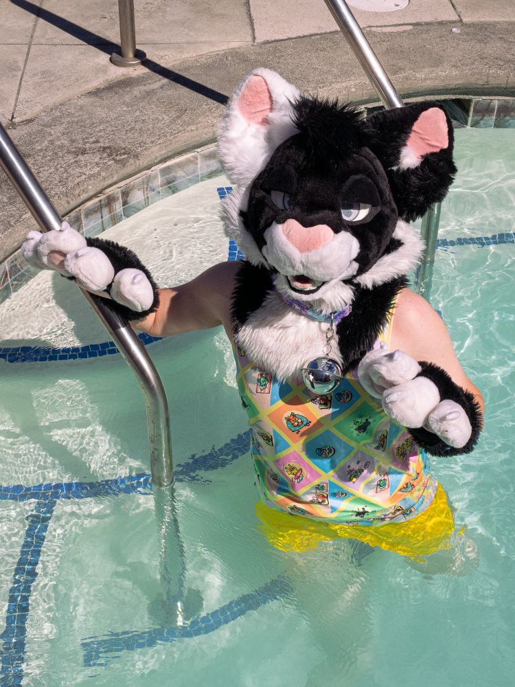 It's the black and white tuxedo cat partial suit braving the water with their fluffy paws and big bell collar on a colorful pokemon summer theme tank with yellow shorts under the water. Right hand is on the railing, this kitty is coming into the pool!