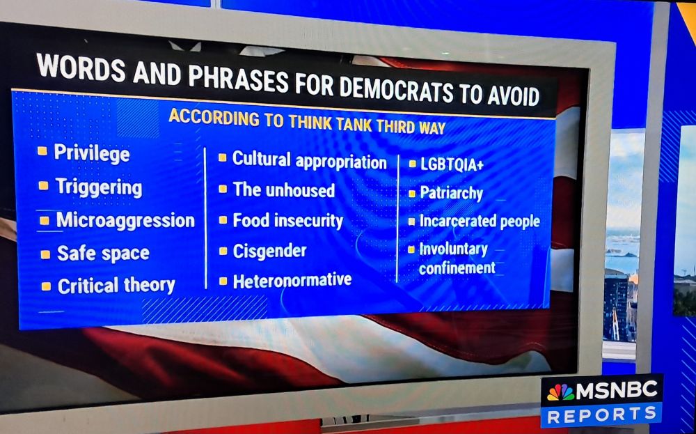 WORDS AND PHRASES FOR DEMOCRATS TO AVOID ACCORDING TO THINK TANK THIRD WAY ▪︎ Privilege ▪︎ Triggering ▪︎ Microaggression ▪︎ Cultural appropriation ▪︎ LGBTQIA+ ▪︎ The unhoused ▪︎ Patriarchy ▪︎ Food insecurity ▪︎ Incarcerated people ▪︎ Safe space • Critical theory ▪︎ Cisgender ▪︎ Involuntary confinement • Heteronormative