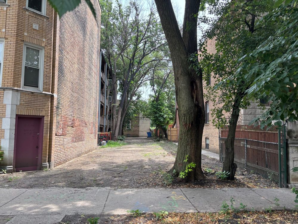 An empty city lot between two buildings