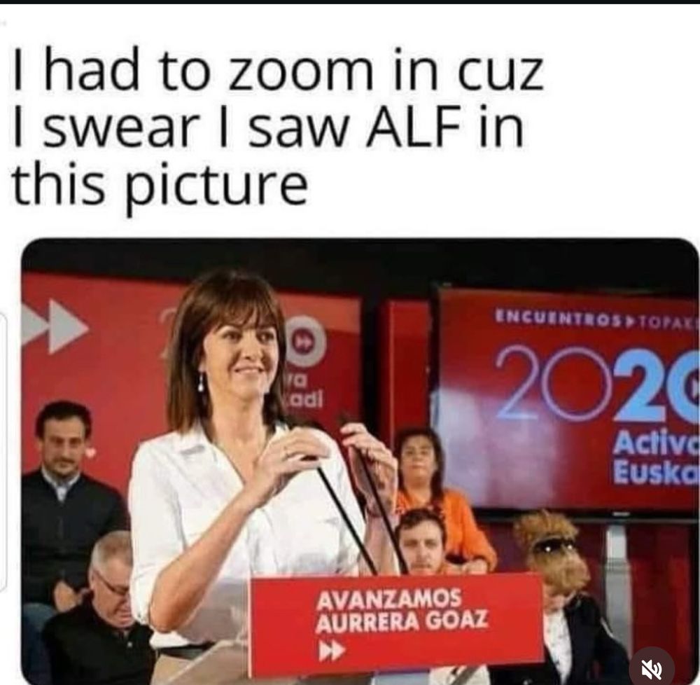 A picture of a person at a podium in which people in the audience are in frame and a person who looks like Alf is in the shot. 