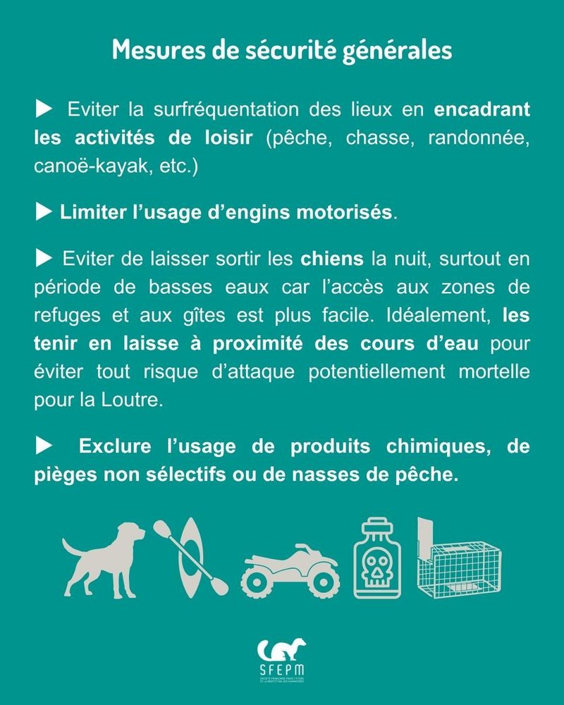 Texte sur fond vert avec pictogrammes de chien, de kayak, de quad, de poison et de piège.
Titre : « Mesures de sécurité générales »
Références à retrouver dans le Guide de la SFEPM (lien en bas de publication).