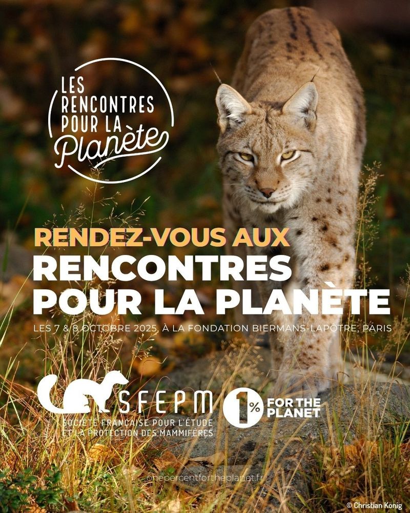 Affiche sur laquelle on voit un Lynx boréal dans la nature.
Texte : « Les Rencontres pour la Planète. Rendez-vous aux rencontres pour la Planète les 7 et 8 octobre 2025 à la Fondation Biermans-Lapôtre à Paris. »
Logos en bas de page : SFEPM et 1% for the planet