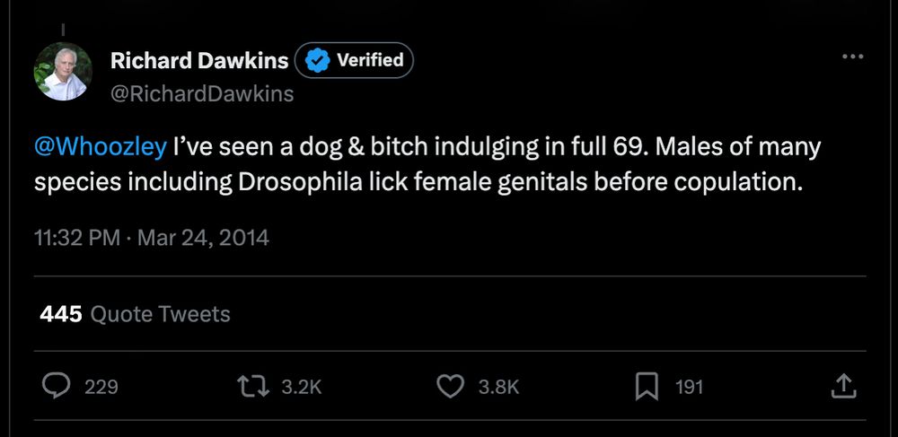 A tweet from Richard Dawkins, great philosopher king and lord of the atheists. It reads "I’ve seen a dog & bitch indulging in full 69. Males of many species including Drosophila lick female genitals before copulation."