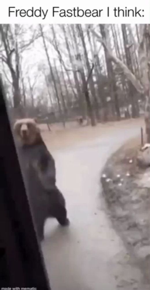 a bear is standing on its hind legs on a sidewalk in a park .