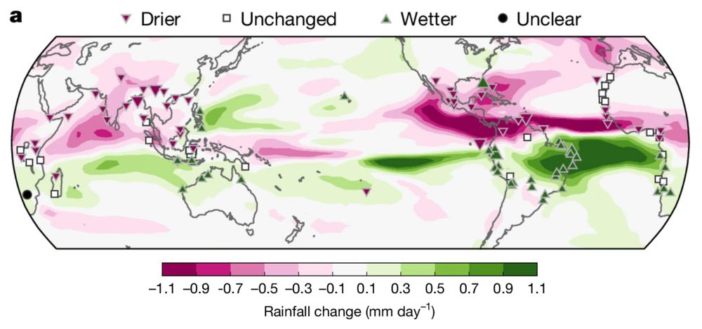 A scientific figure showing changes of rainfall under moderate slowing down of the AMOC.