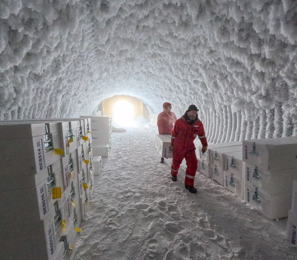 Scientists carry boxes of fresh ice cores into frozen storage tunnel. Ice has formed across the inside of the tunnel, coating the ceiling and walls. (Credit: PNRA:IPEV)