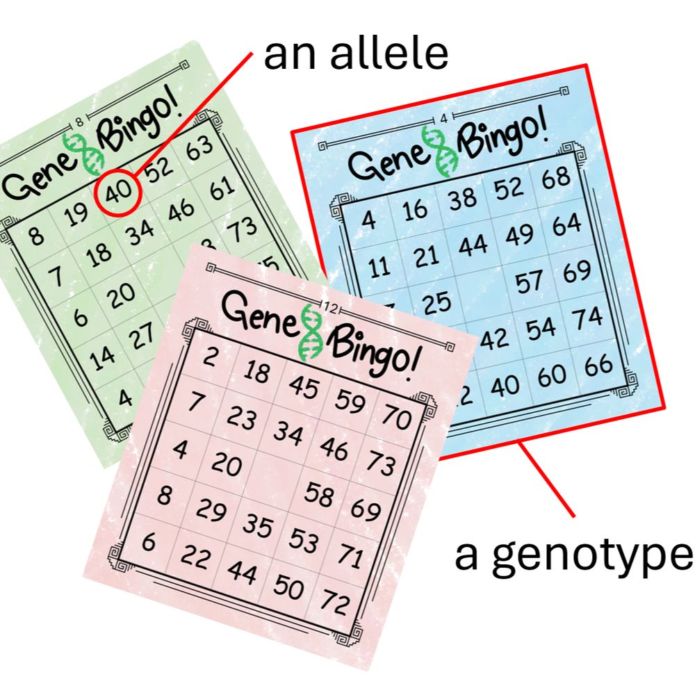 Gene Bingo cards and what they represent