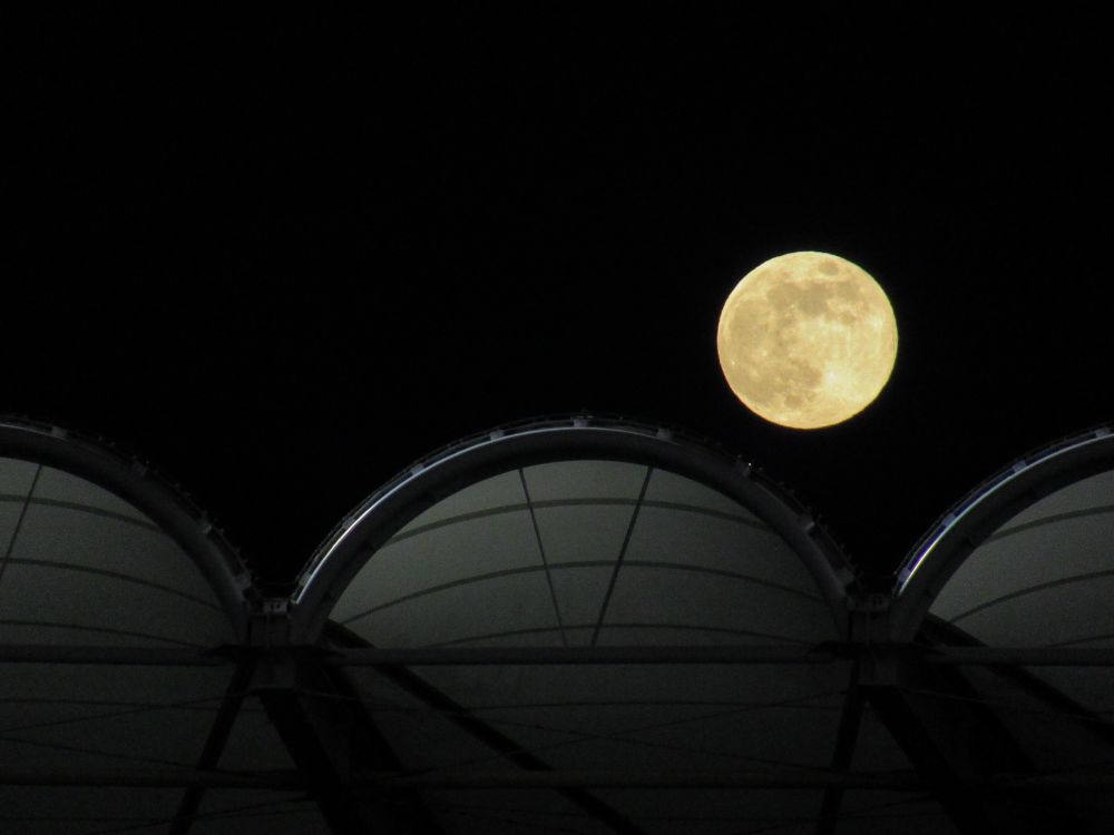 2024年12月15日の満月。コールドムーンと呼ばれているそうです。