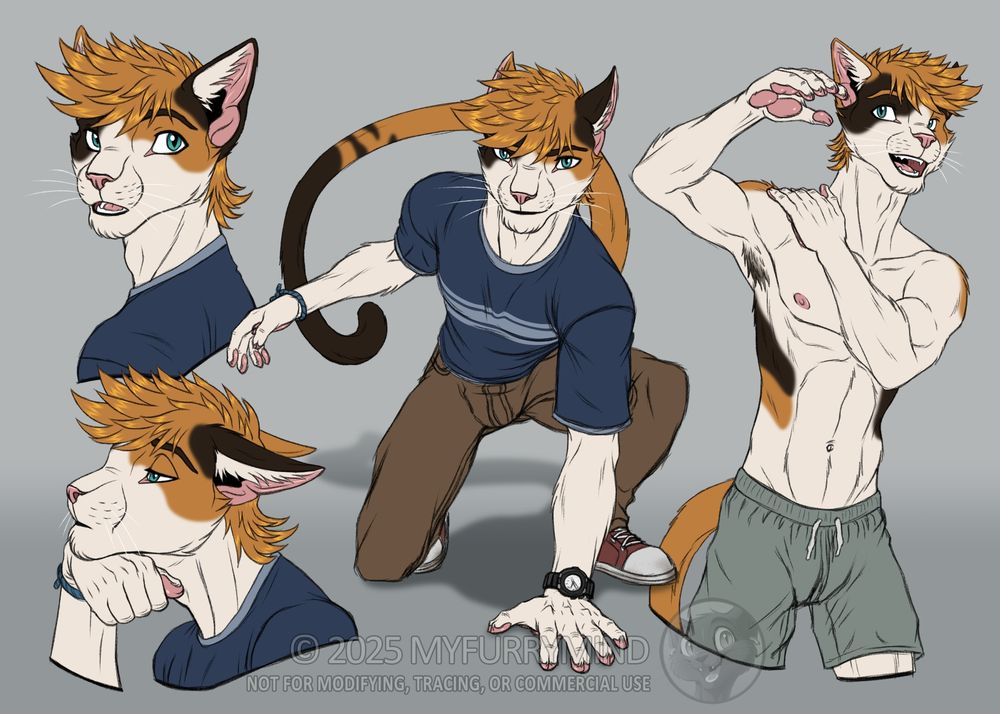 2 headshots of Jessie with one looking towards the viewer and the other looking bored and staring out in the distance with his chin resting on his hand. There is also a full body of him in an action pose looking at the viewer and a half body of him without a shirt and in shorts rolling his shoulder. 