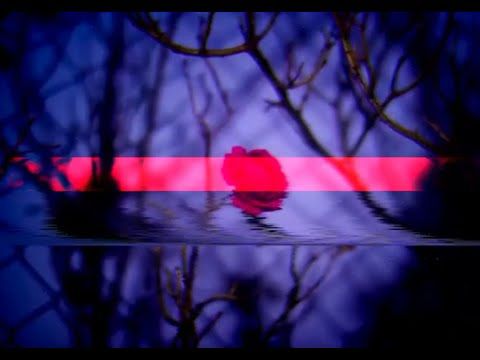 moncello - is there any story?