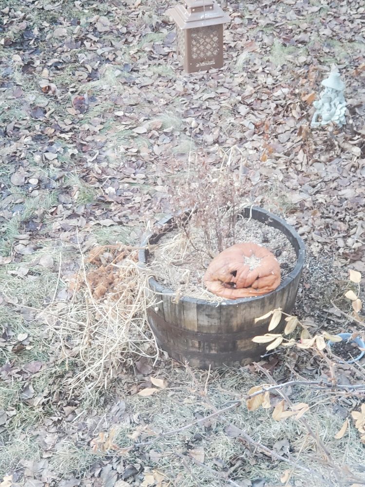 Deflated jack o lantern