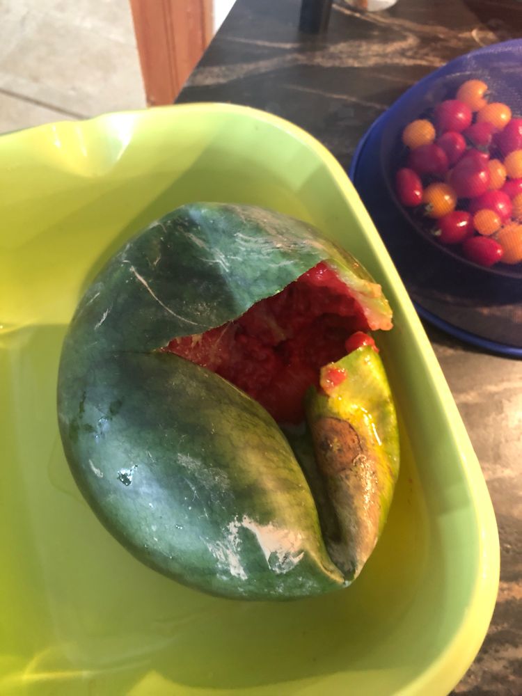 wassermelone mit großem loch 