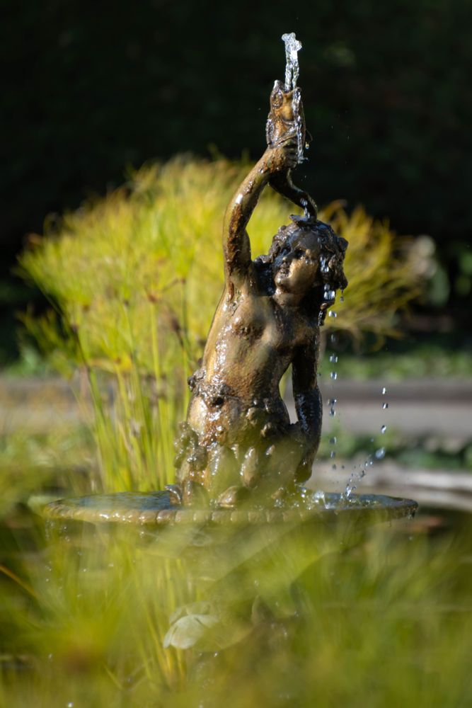 In the centre of an Italian Garden, nestled in the heart of Butchart Gardens in Victoria, a bronze statue of Mercury warms under the sun's fast fading afternoon light.