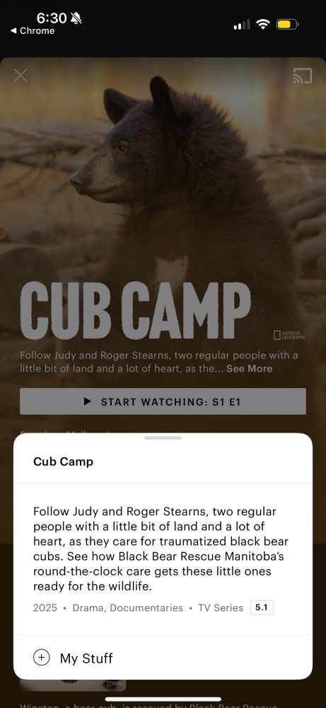 A show about bears, the animal