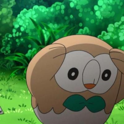 Owl Pokemon Rowlet holding its head looking stressed