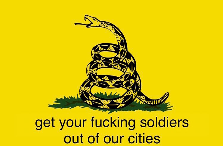 Famous “don’t tread on me” rattlesnake flag but this one says “ get your fucking soldiers out of our cities”