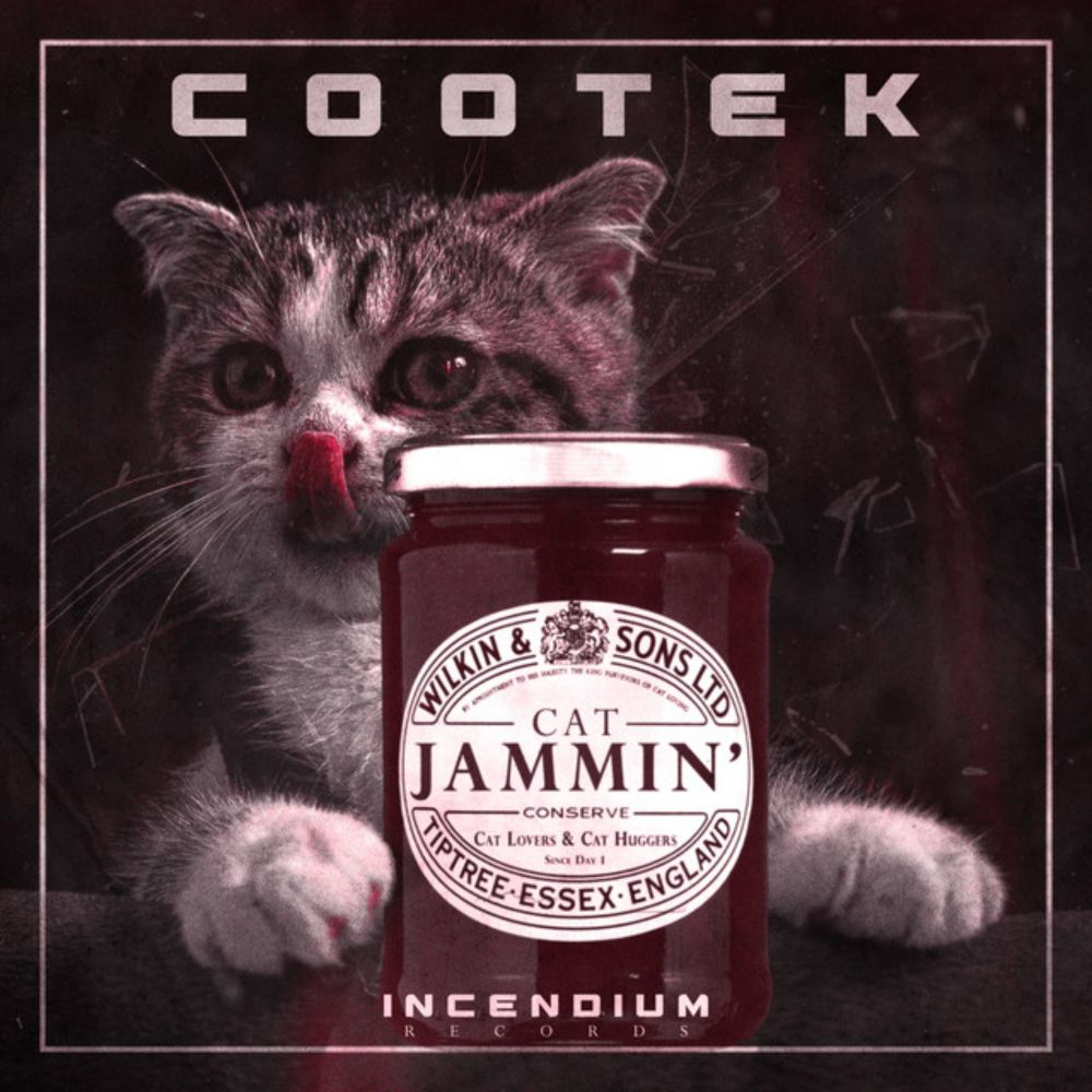 COOTEK - Cat Jammin'