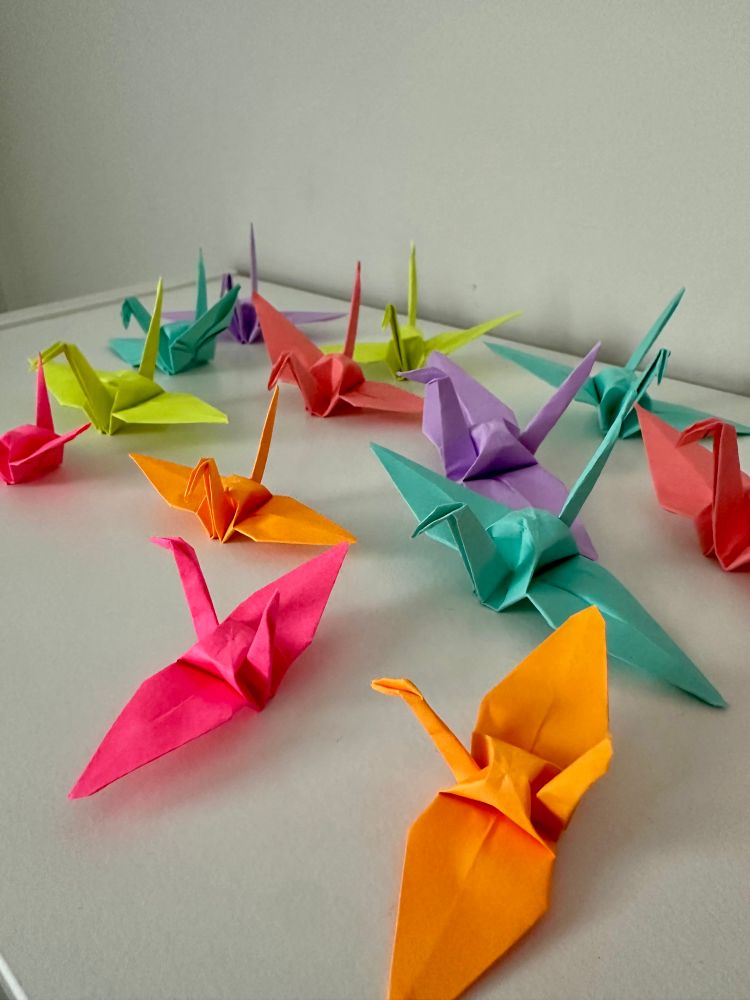 Photo of many origami cranes
