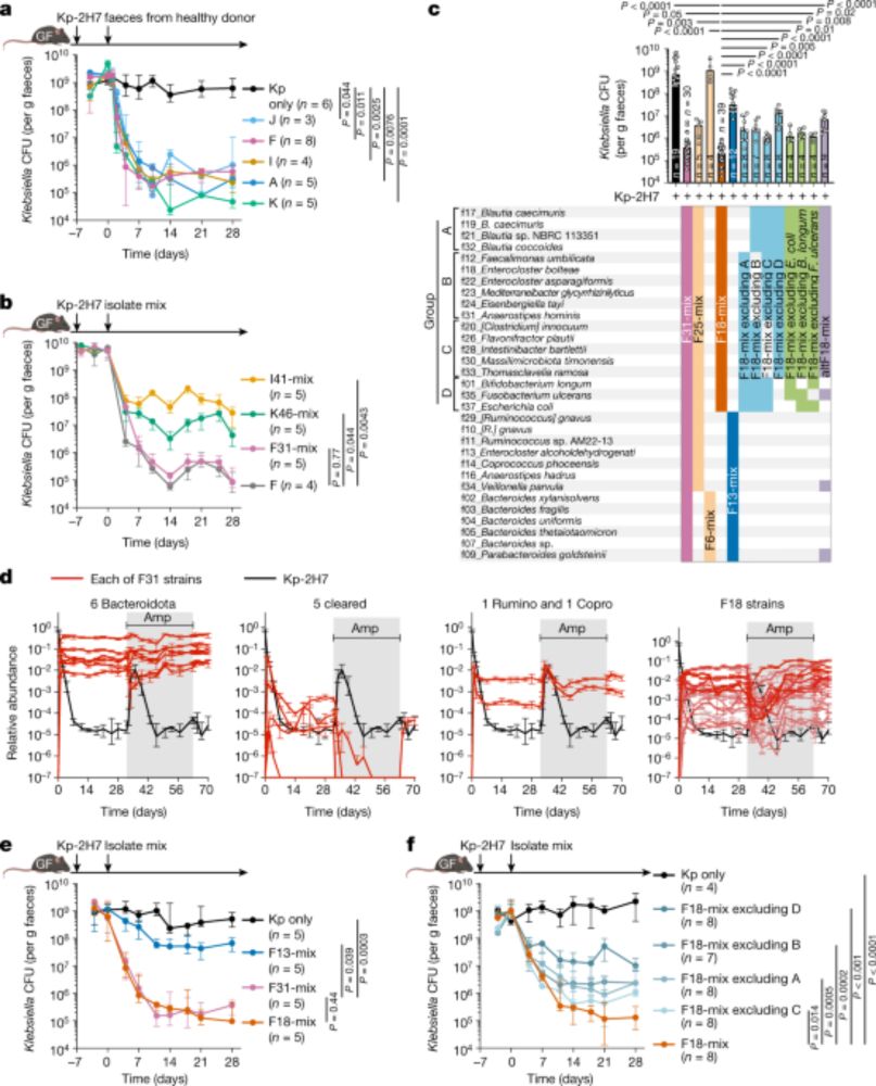 Commensal consortia decolonize Enterobacteriaceae via ecological control - Nature