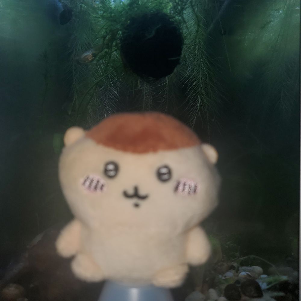 blurry kurimanju plush sitting on a bottle of yakult with a dark ominous background