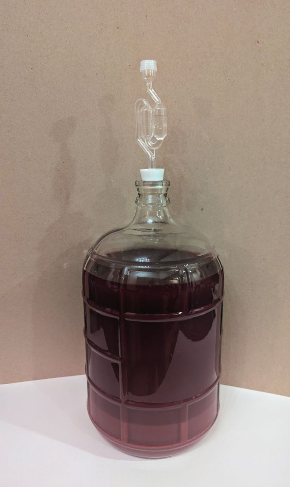 Large 3 gallon glass jar, 3/4 filled with dark purple wine. A rubber stopper with airlock are fitted in the narrow neck.