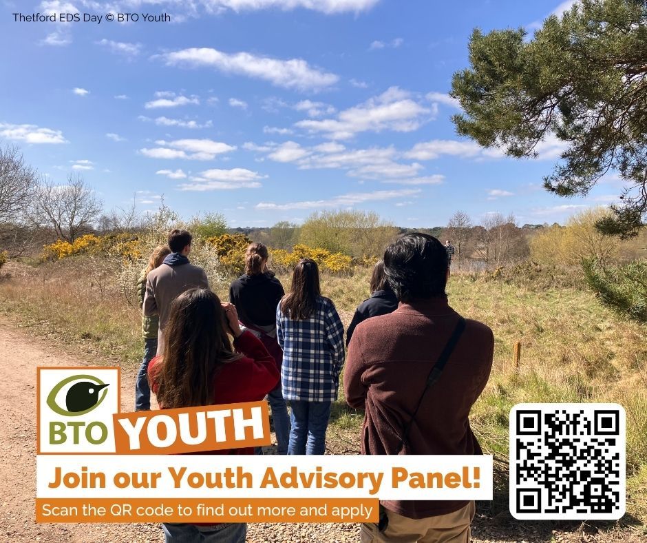 A group of young people are looking into the distance, with countryside around them. Wording alongside reads: BTO Youth. Join Our Youth Advisory Panel! Scan the QR code to find out more and apply. A QR code sits to the right of the wording.