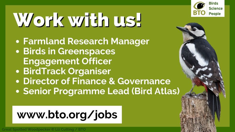 Image of a Great Spotted Woodpecker on a green background alongside the wording: Work with us! Farmland Research Manager, Birds in Greenspaces Engagement Officer, BirdTrack Organiser, Director of Finance and Governance, Senior Programme Lead (Bird Atlas). www.bto.org/jobs. BTO logo sits top right of the image.