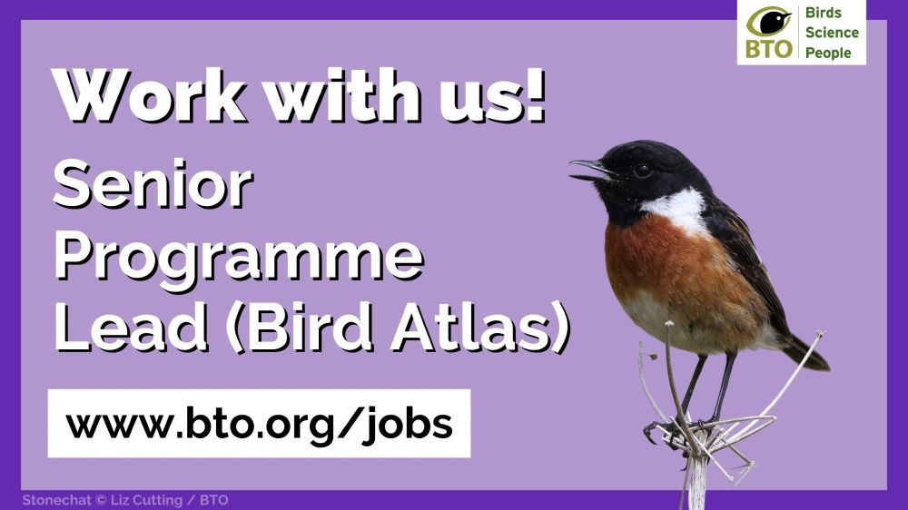 Image of a Stonechat on a purple background alongside the wording: Work with us! Senior Programme Lead (Bird Atlas). www.bto.org/jobs BTO logo features top right of image.