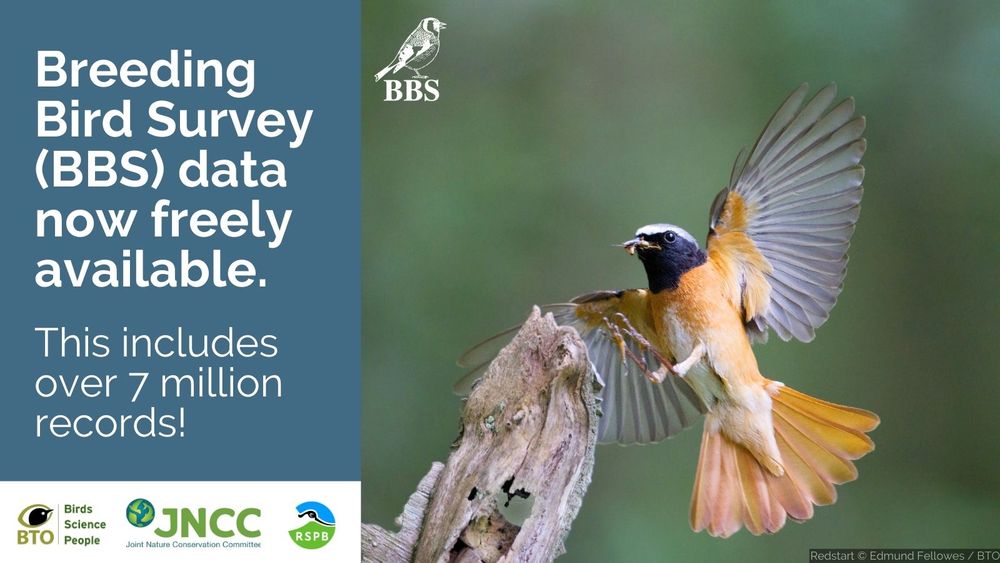 Image of a Redstart alongside the wording: Breeding Bird Survey (BBS) data now freely available. This includes over 7 million records! BTO, JNCC and RSPB logo bottom left. BBS logo top middle. 