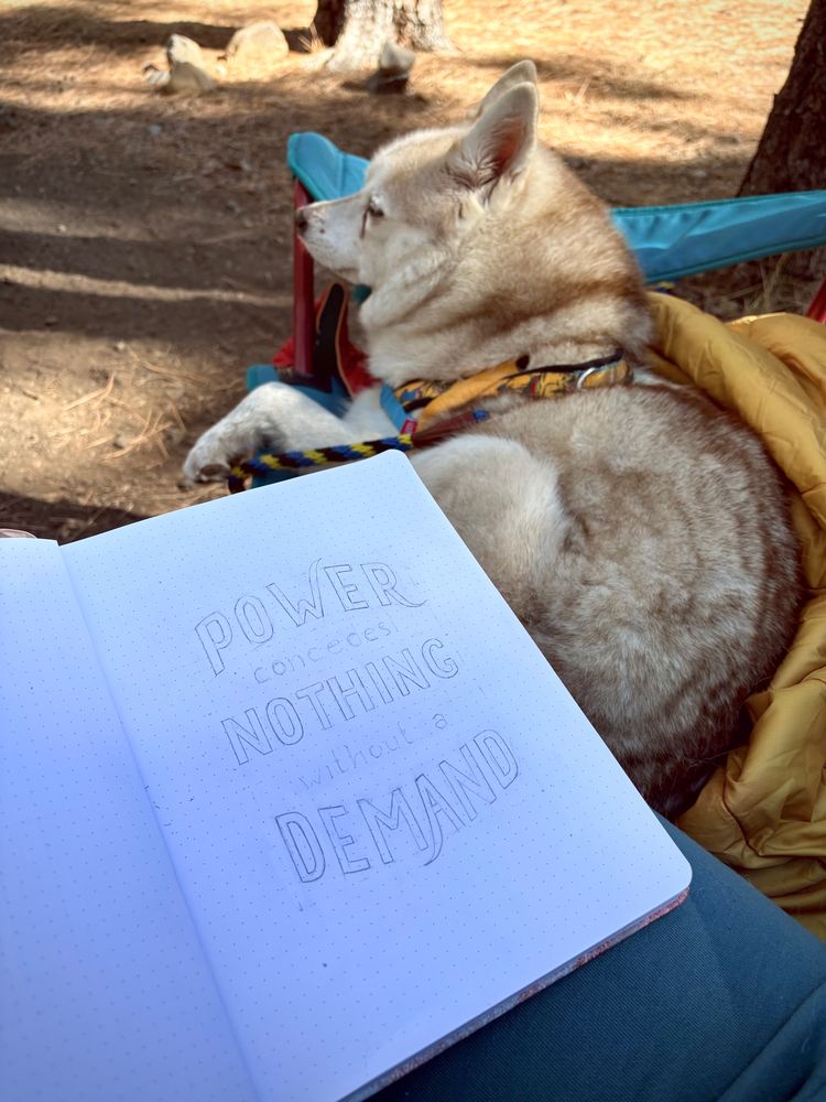 badger is curled up in a big camper chair next to arrott’s sketchbook